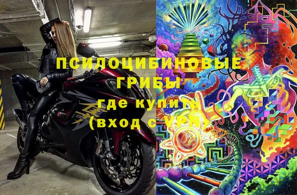 хмурый Алексин