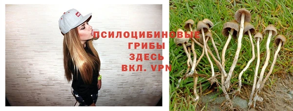 хмурый Алексин