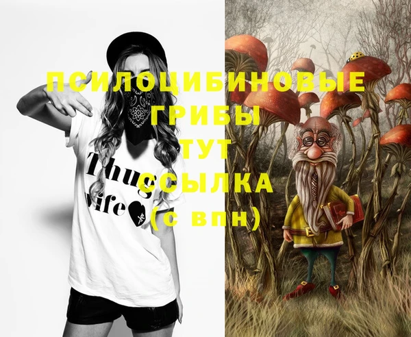 амф Алзамай