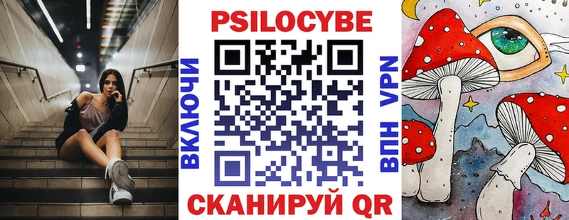 купить  цена  Заинск  Псилоцибиновые грибы ЛСД 